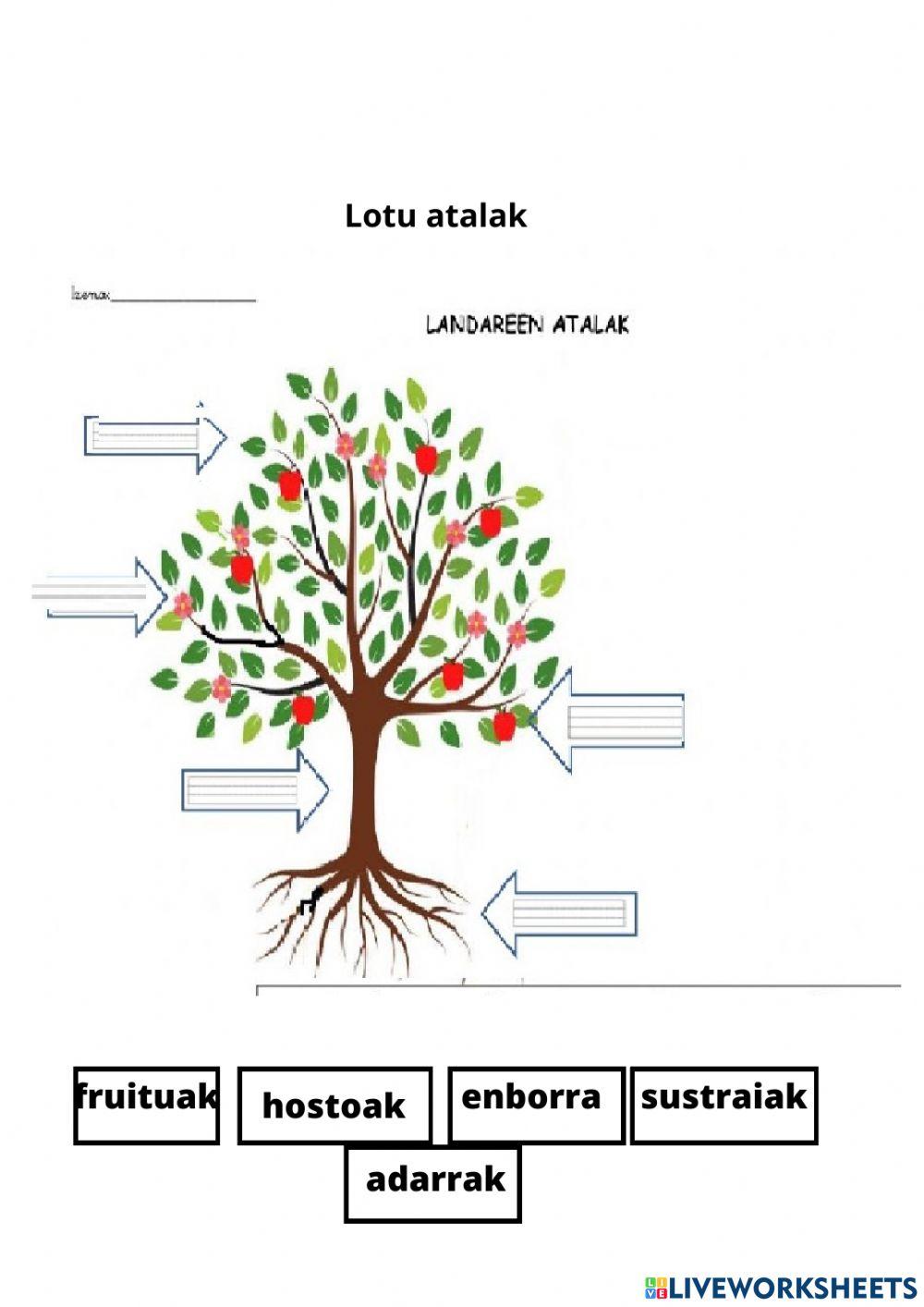 Landareen atalak Landareen atalak