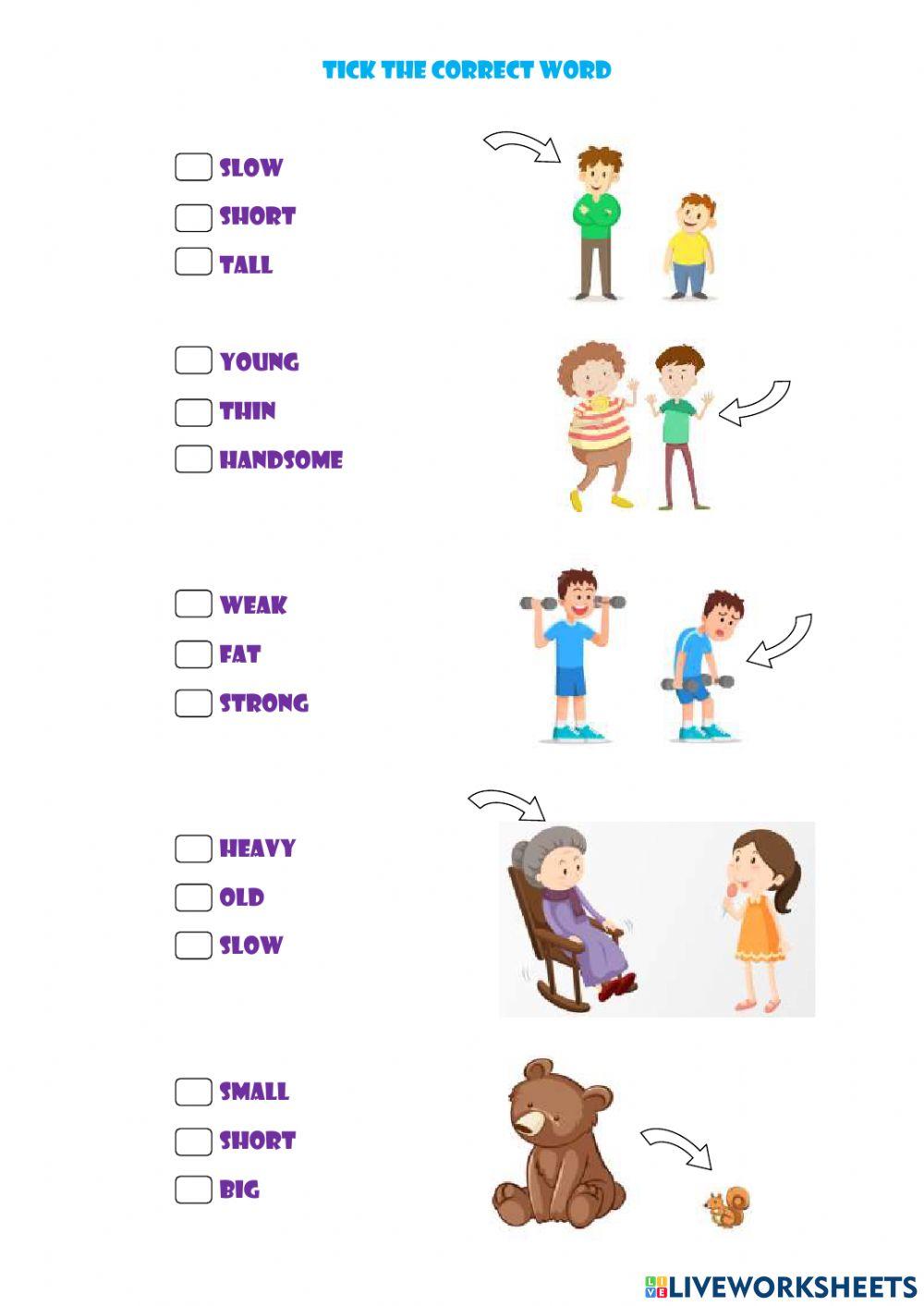 7071493-opposites-mine-sezgin-liveworksheets