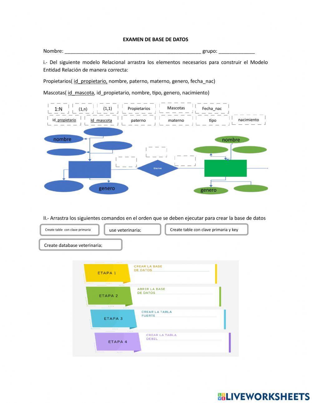 Programación Base de Datos