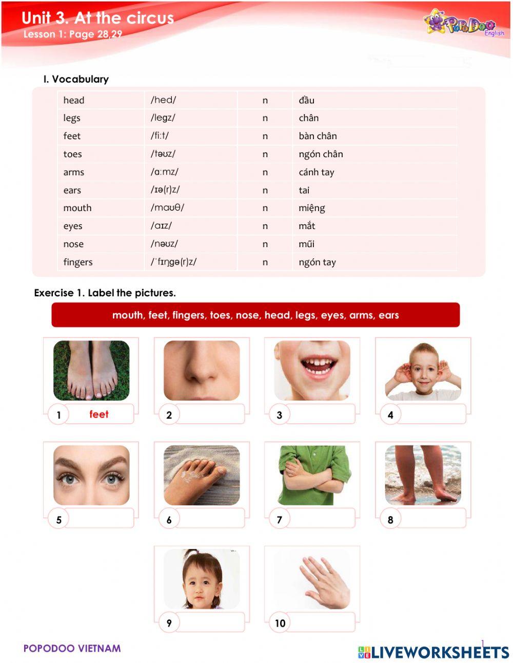 Vocabulary - grammar