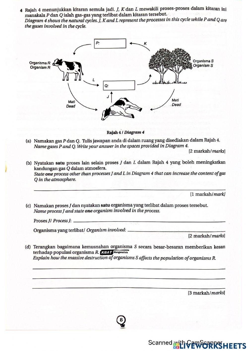 ecosystem-free-interactive-worksheets-7072221