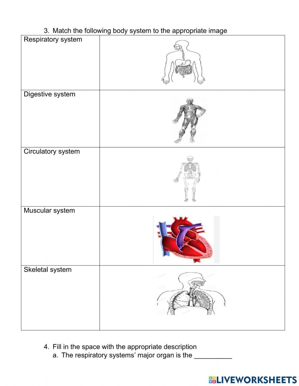 Body system and  Nutrition