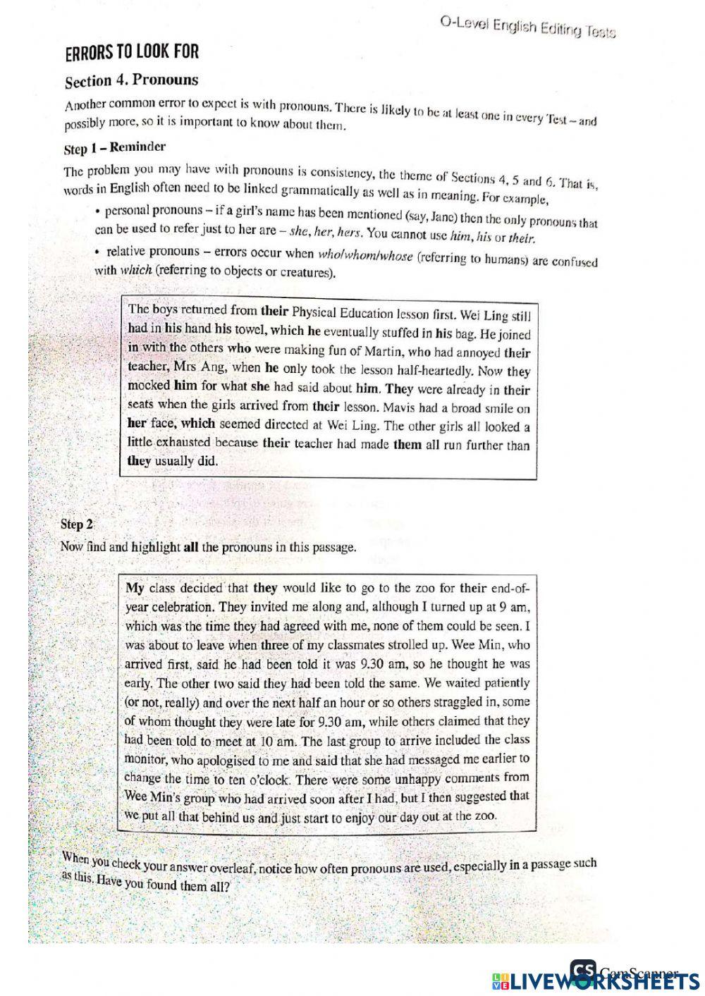 Sec Editing 4 Pronouns