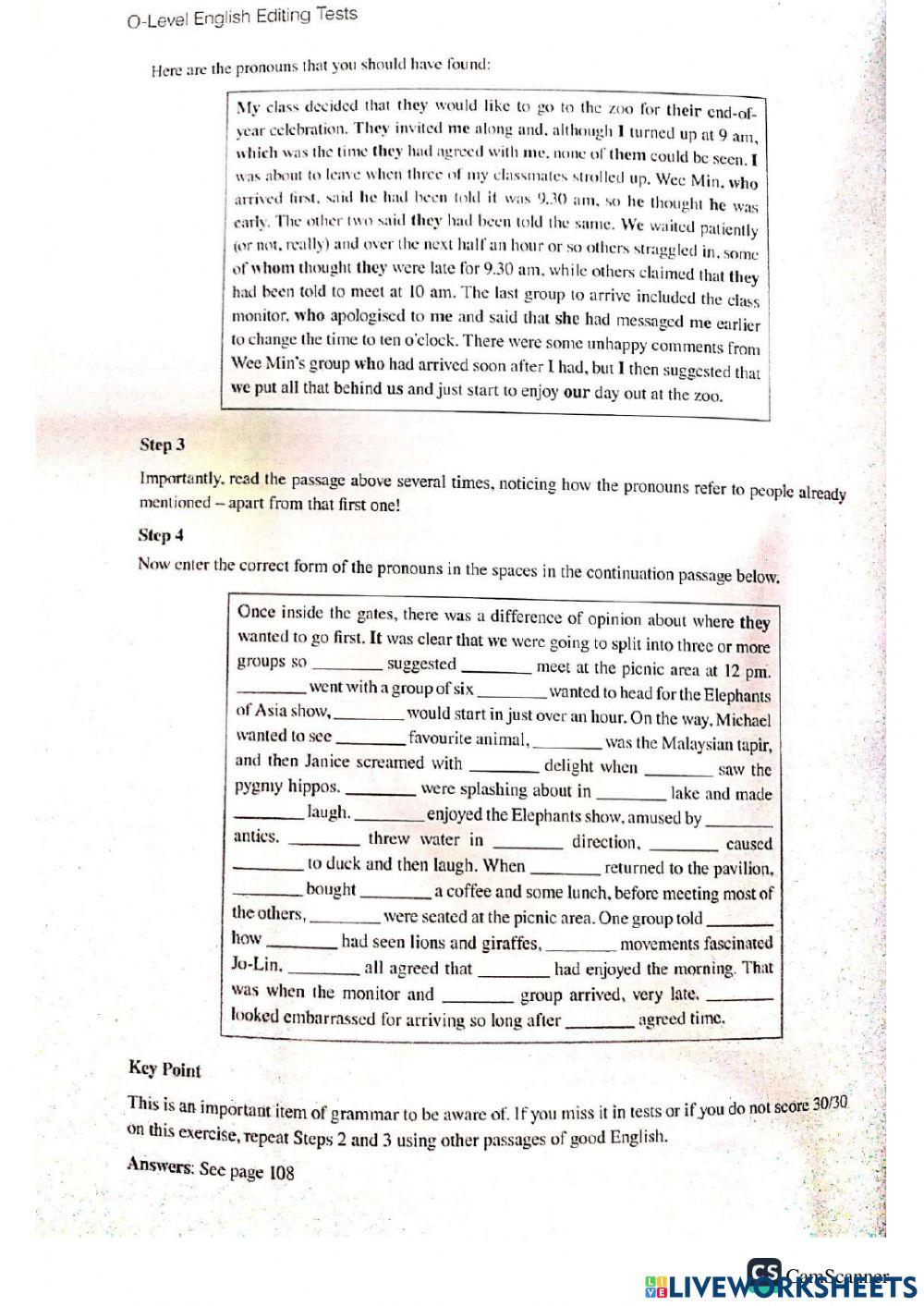 Sec Editing 4 Pronouns