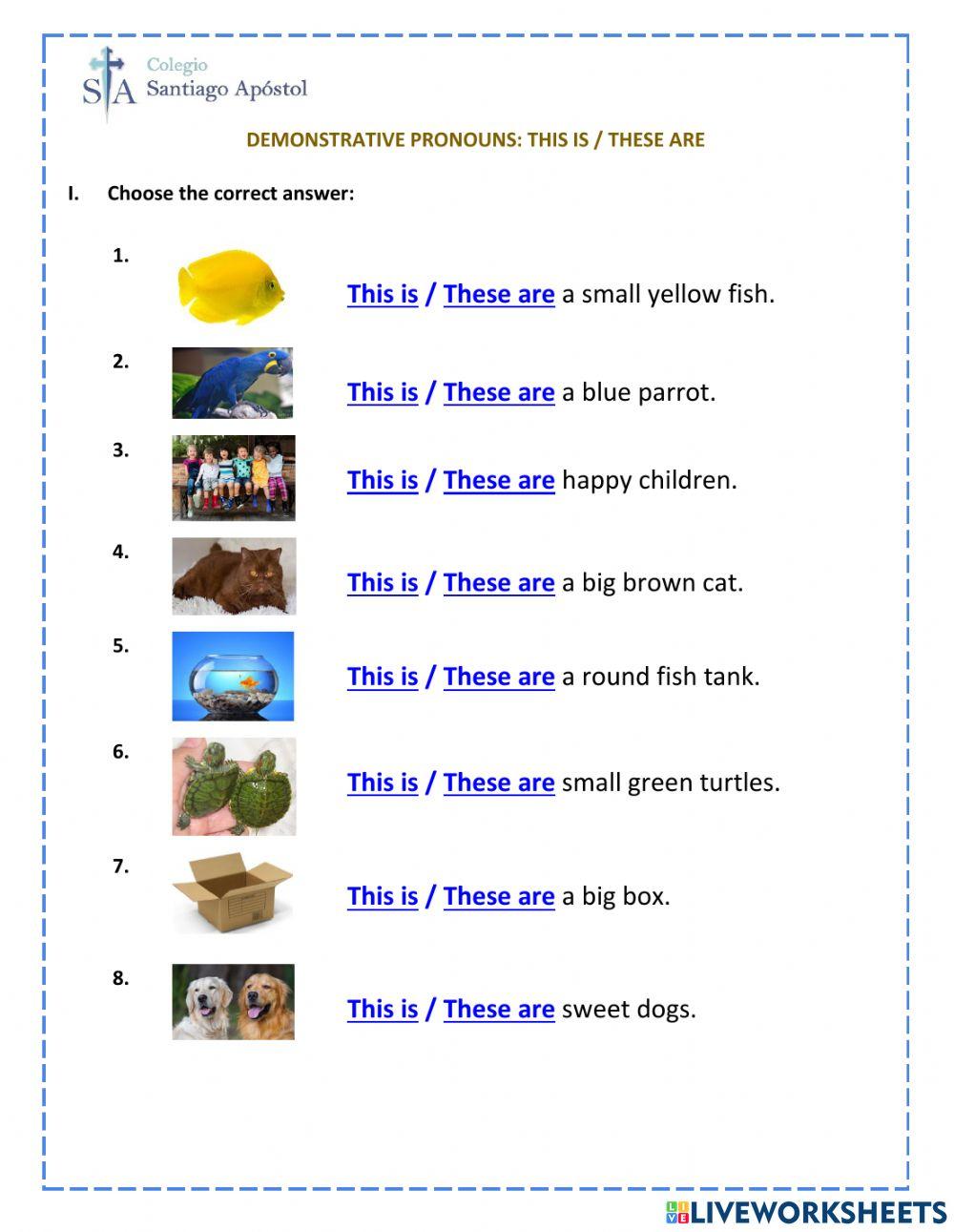 Interactive Worksheet N°3