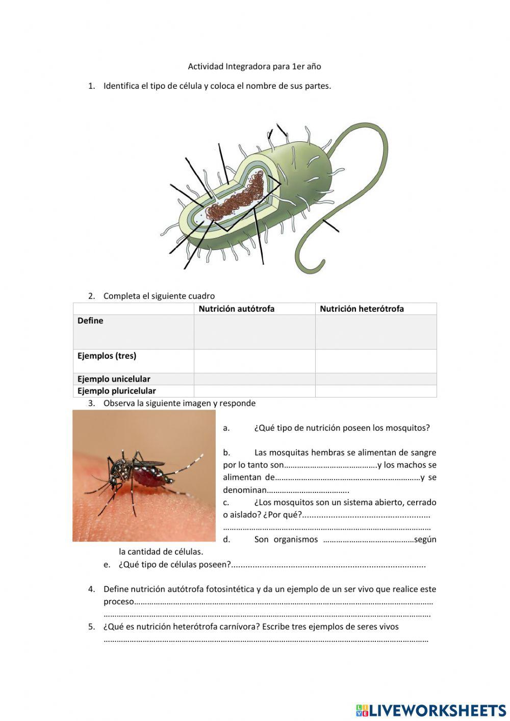 Nutricion de los seres vivos