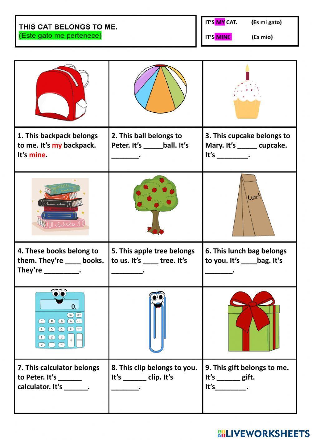 Possessive pronouns Possessive pronouns