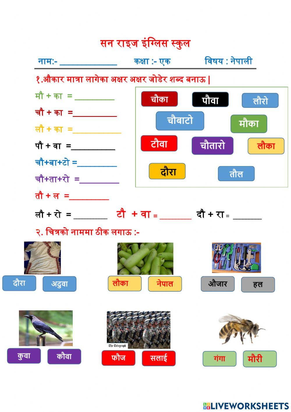 Nepali Worksheet Online Exercise For Live Worksheets nepali-worksheet-online-exercise-for-live-worksheets