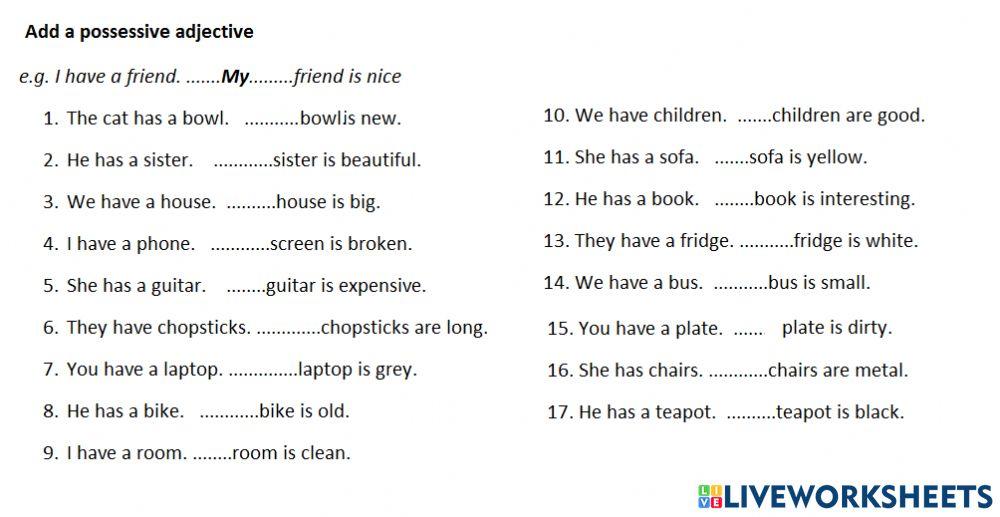 Possessive adjectives