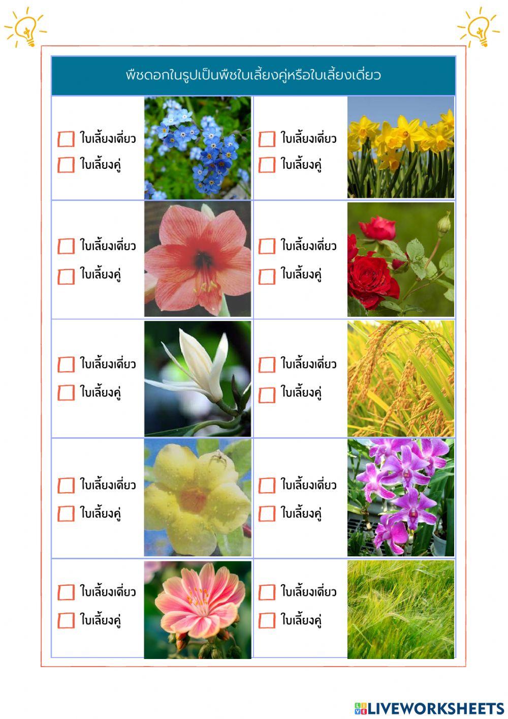 ใบงานที่ 3 การหารูปแบบ