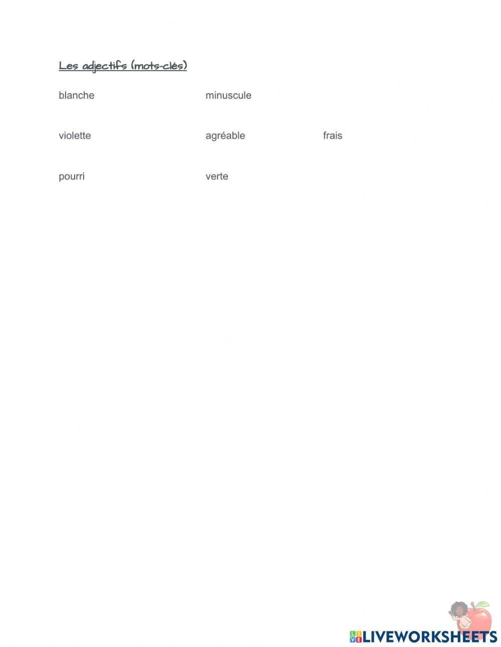 La place des adjectifs (MOD)