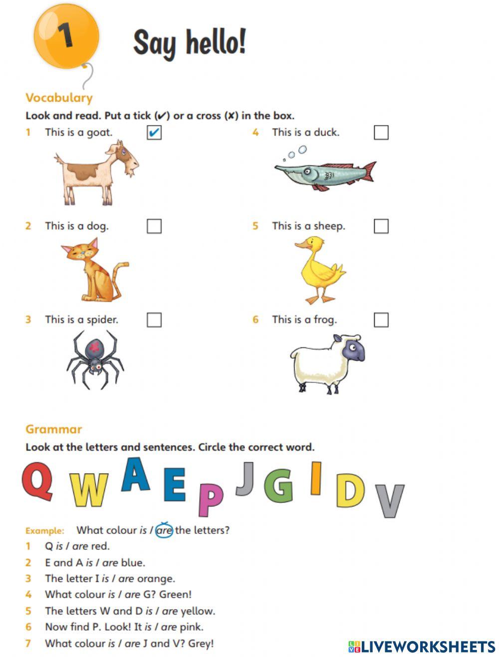 Fun For Starters Unit 4