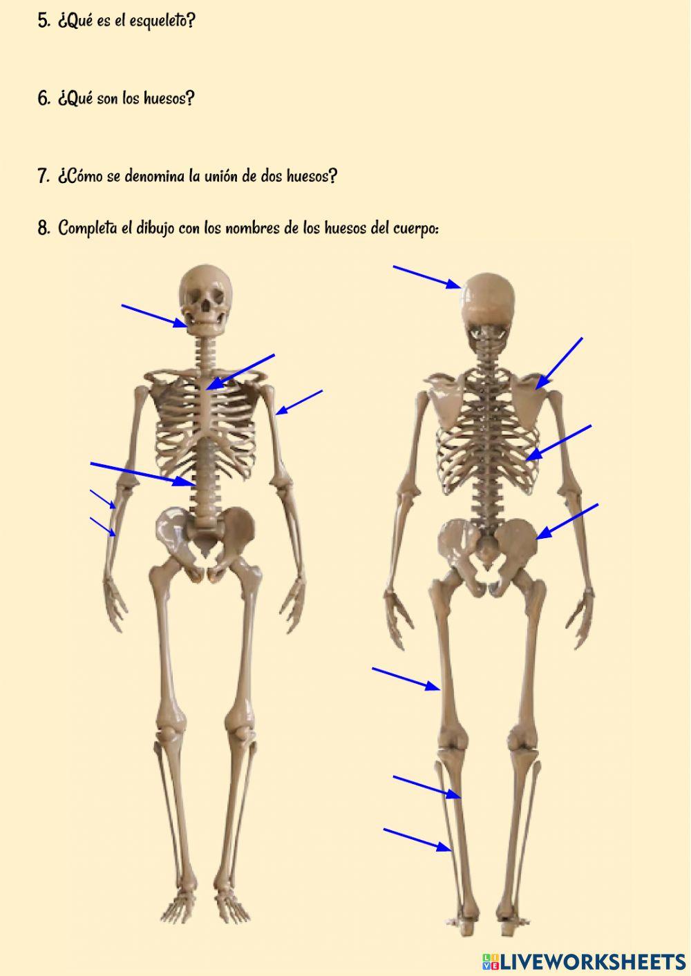Examen función relación y reproducción