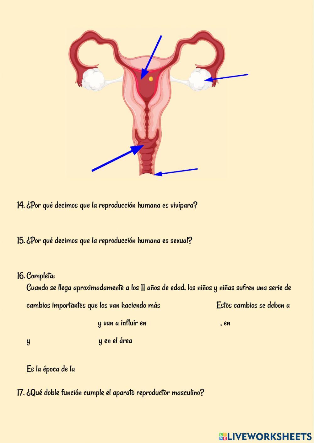 Examen función relación y reproducción