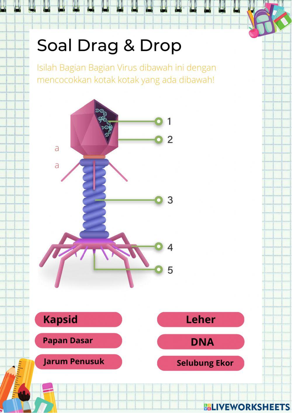 Struktur tubuh virus