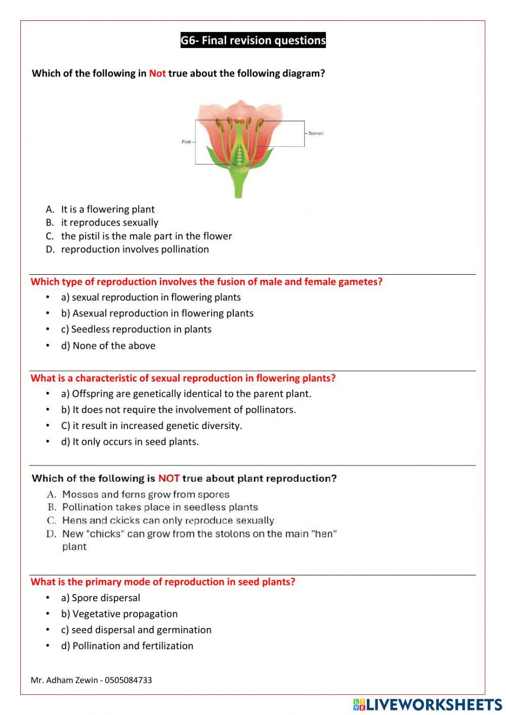 Term 3 exam revision Term 3 exam revision