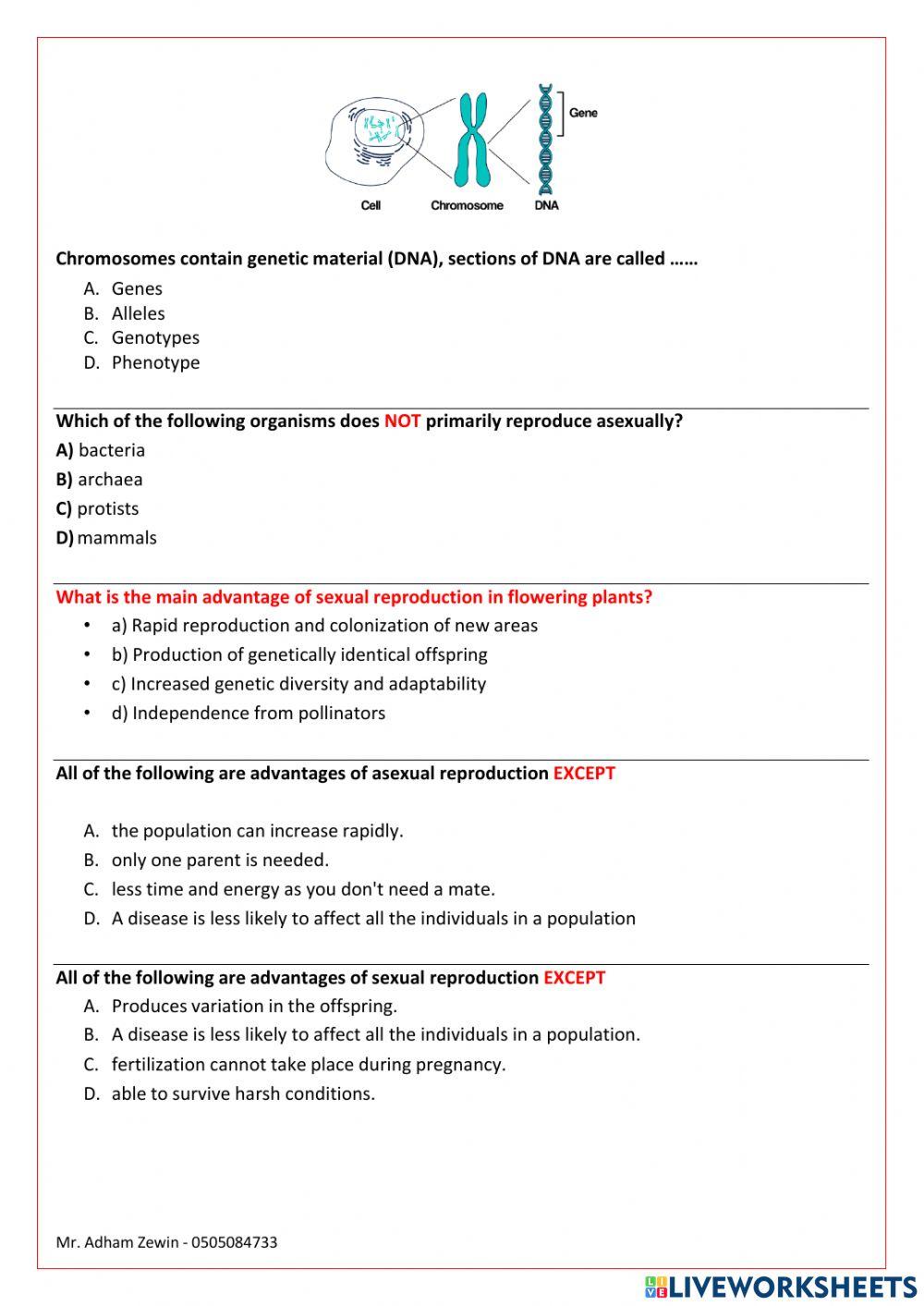 Term 3 exam revision Term 3 exam revision