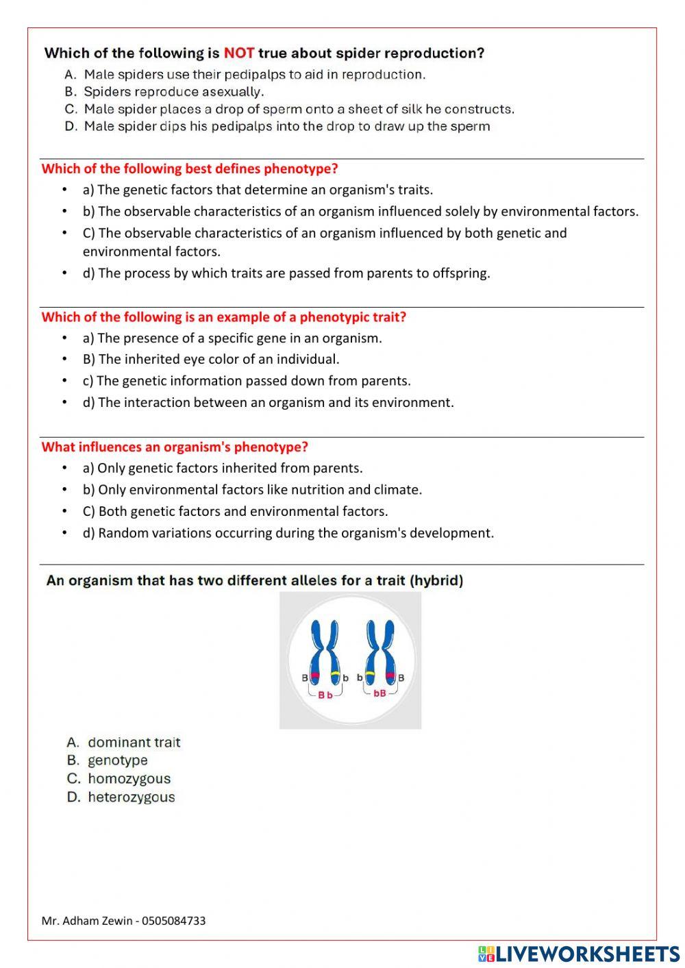 Term 3 exam revision Term 3 exam revision