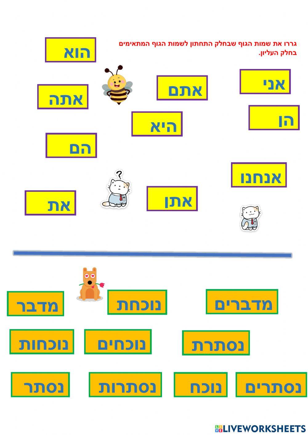 כינויי גוף