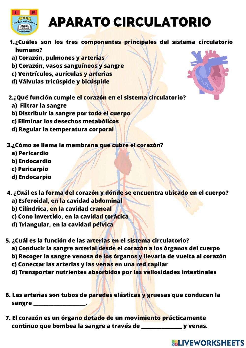 Sistema Circulatorio