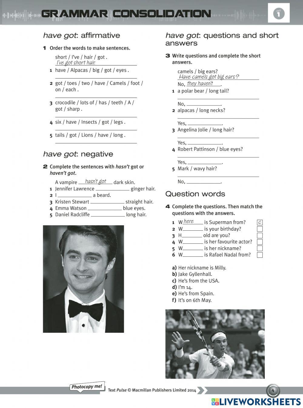 Have got affirmative and negative