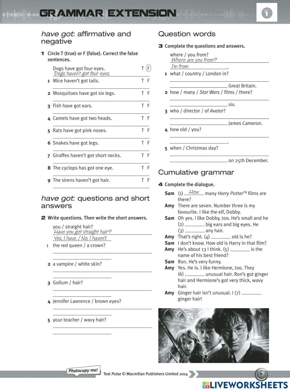 Have got affirmative and negative