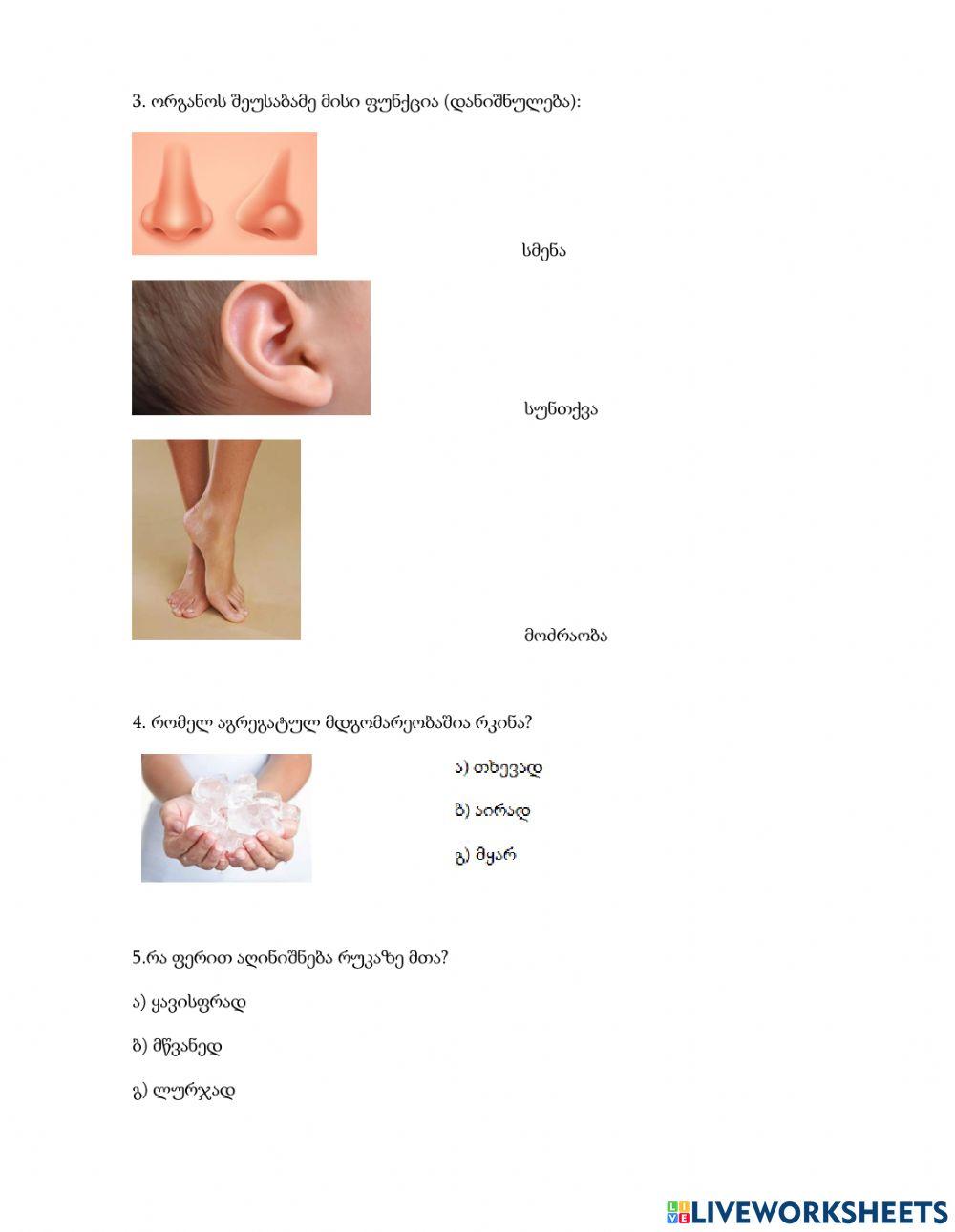 6 კლასი ადაპტირებული