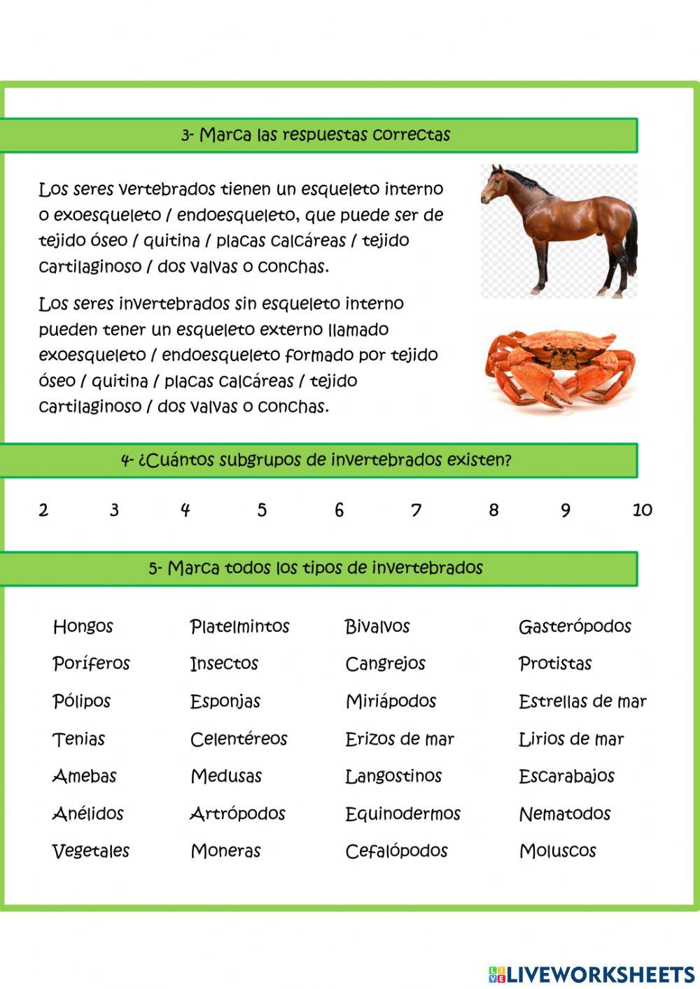 Invertebrados Invertebrados