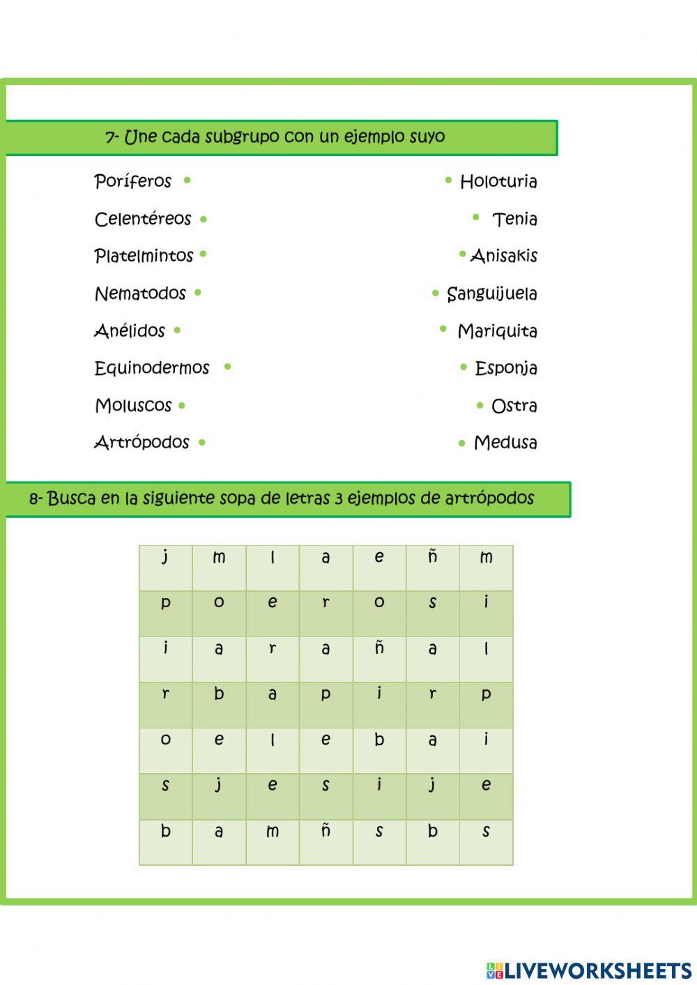 Invertebrados Invertebrados