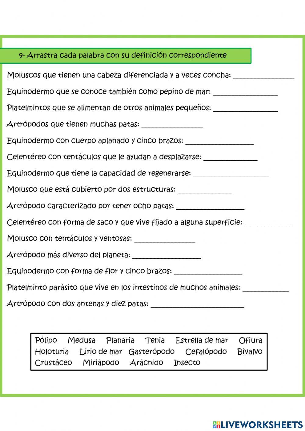 Invertebrados Invertebrados