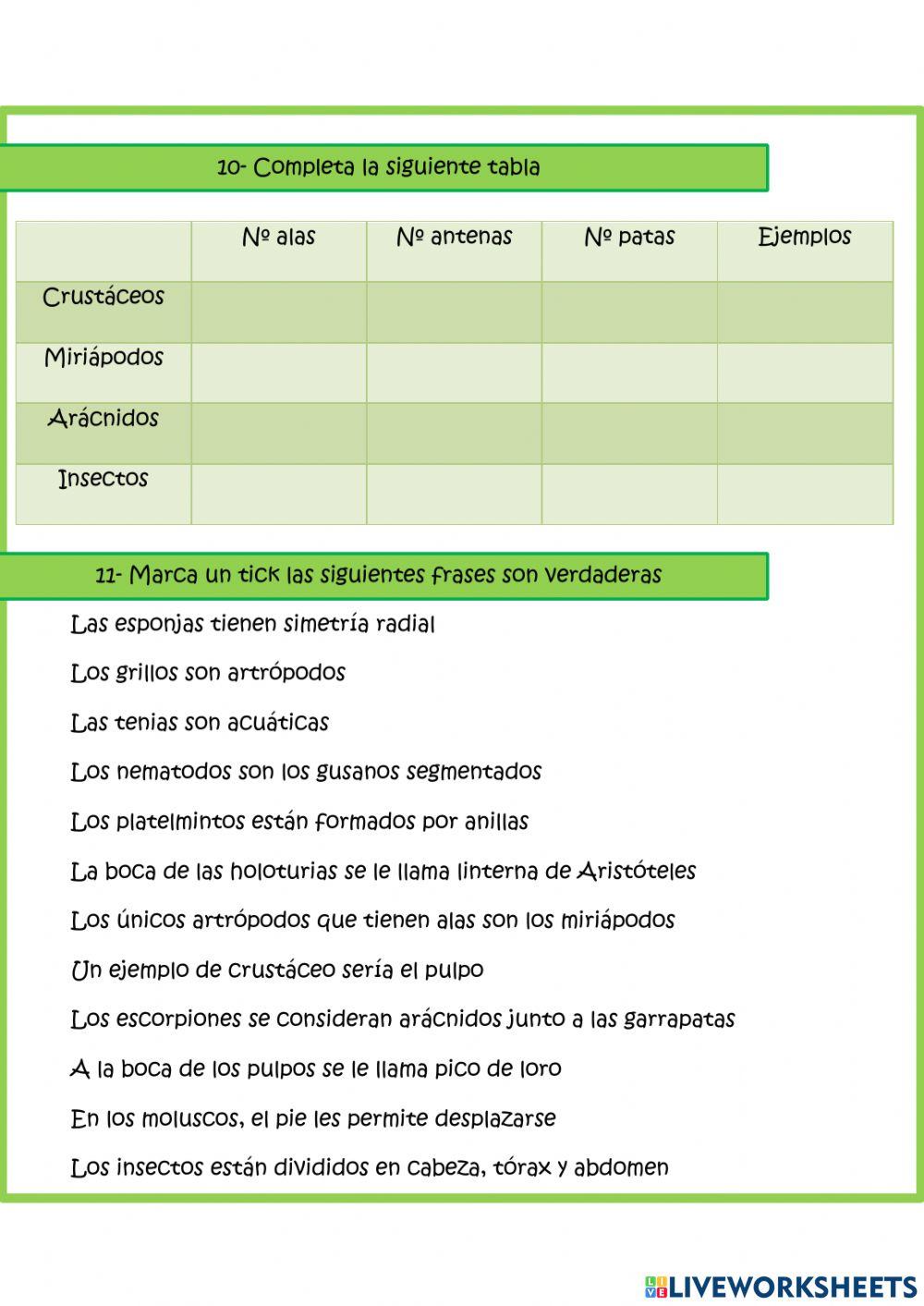 Invertebrados Invertebrados