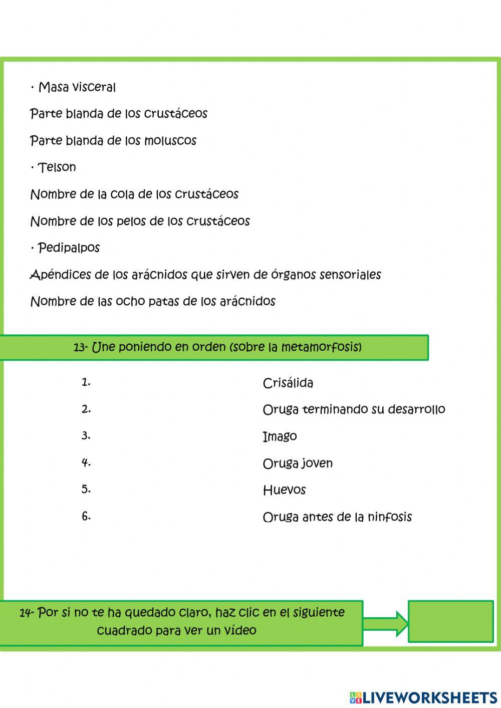 Invertebrados Invertebrados