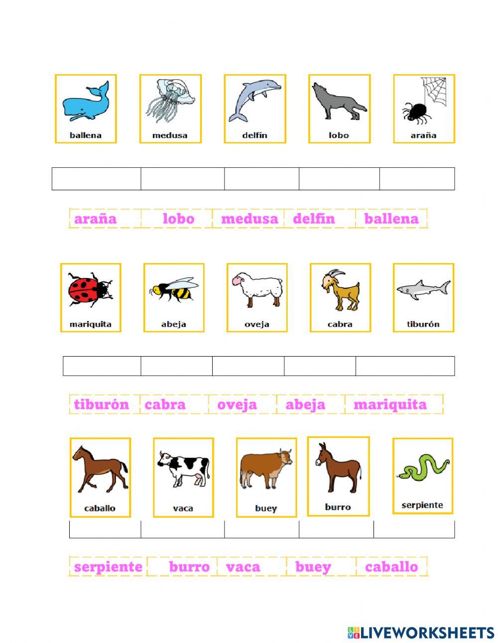 Lctura Global animales