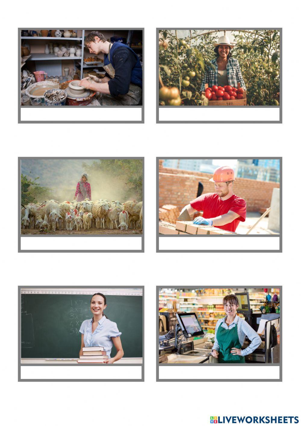 Los sectores económicos