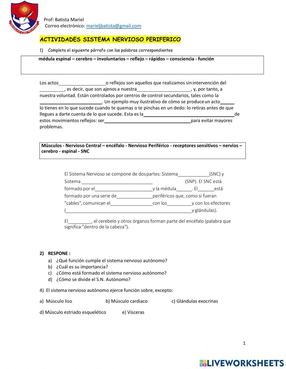 Sistema nervioso periferico