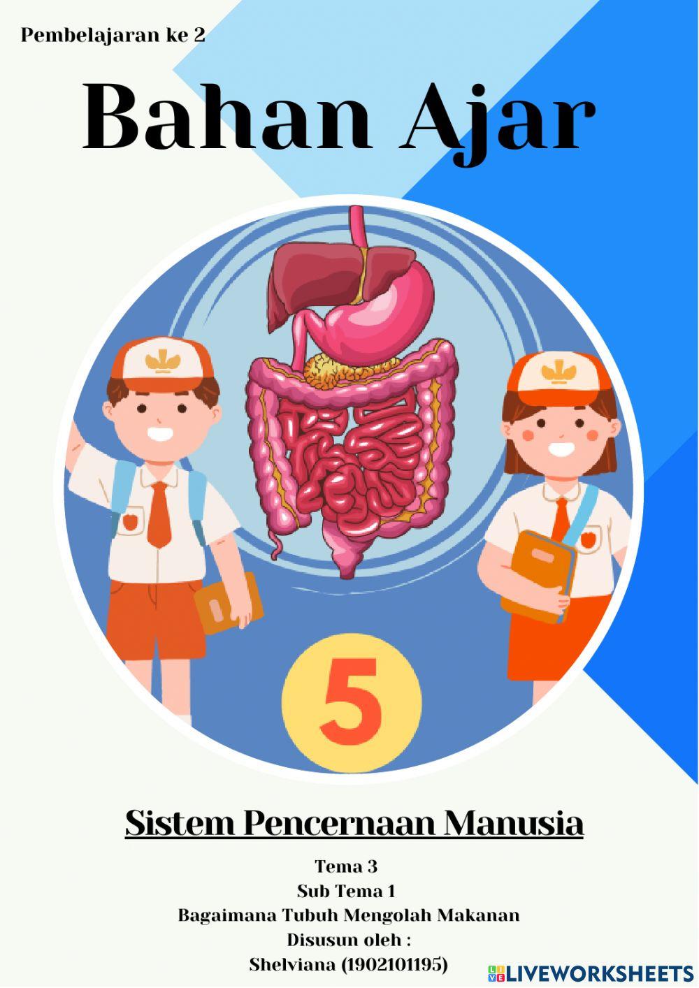 Sistem Pencernaan Manusia