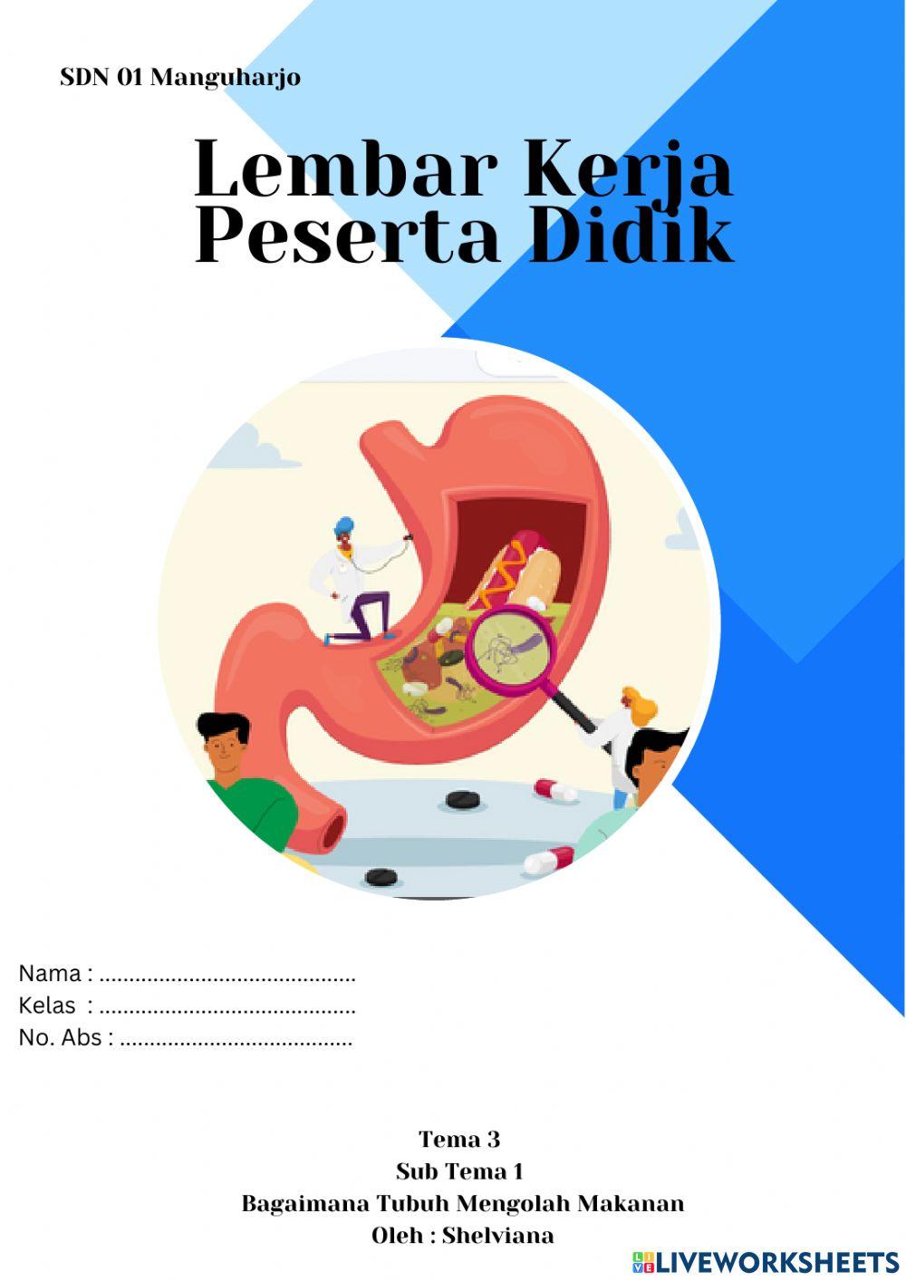 Sistem Pencernaan Manusia