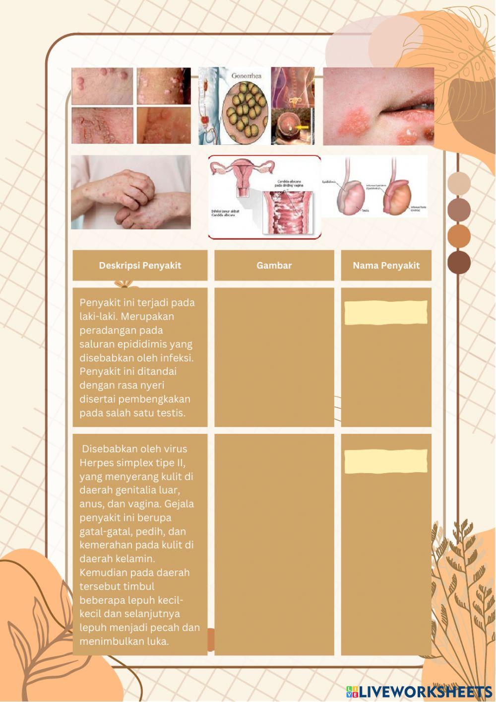 Gangguan dan penyakit sistem reproduksi