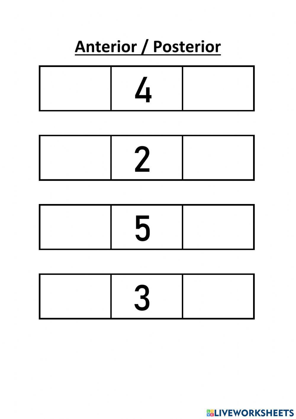 Anterior - Posterior hasta el 6