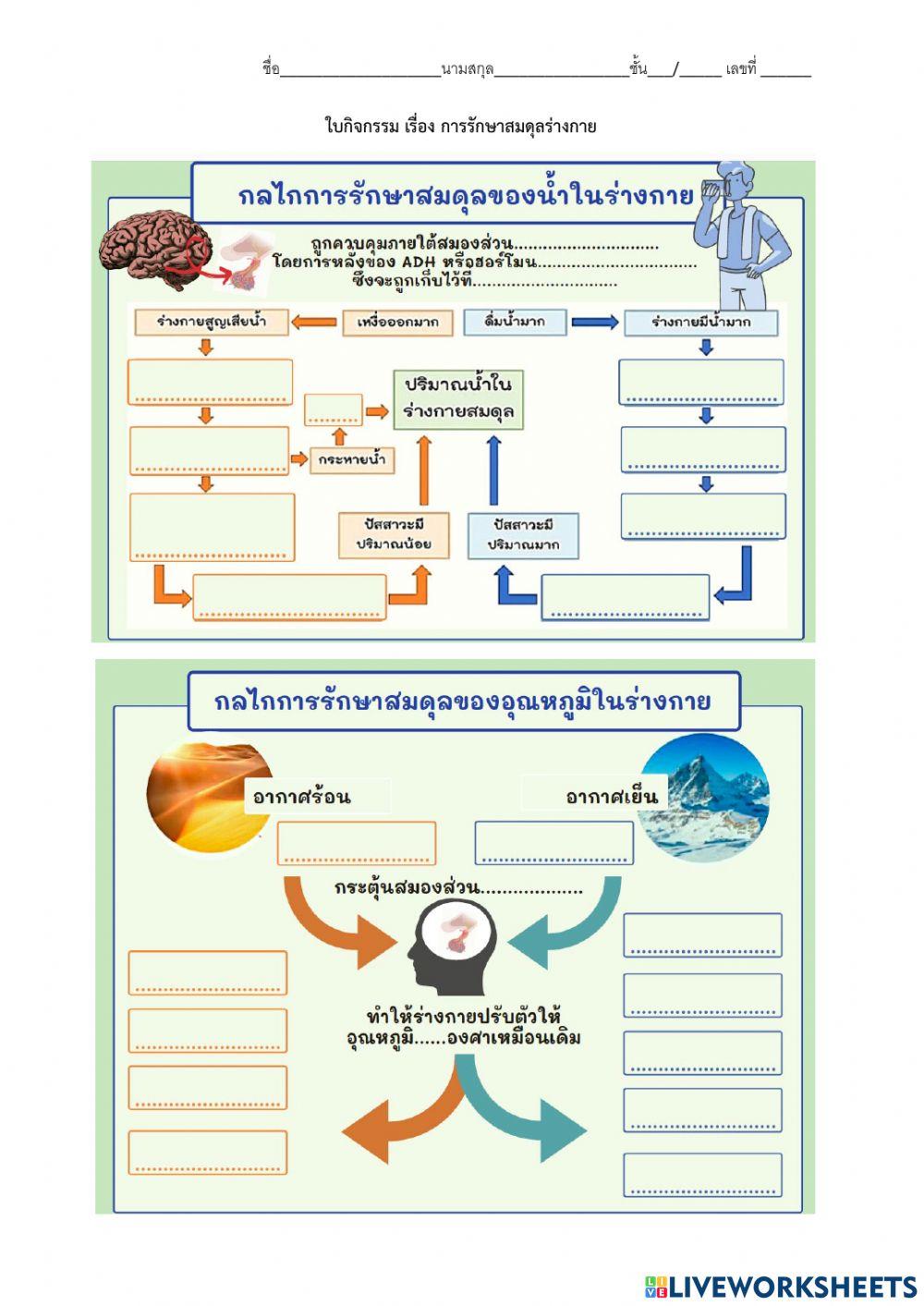 การรักษาดุลยภาพร่างกาย