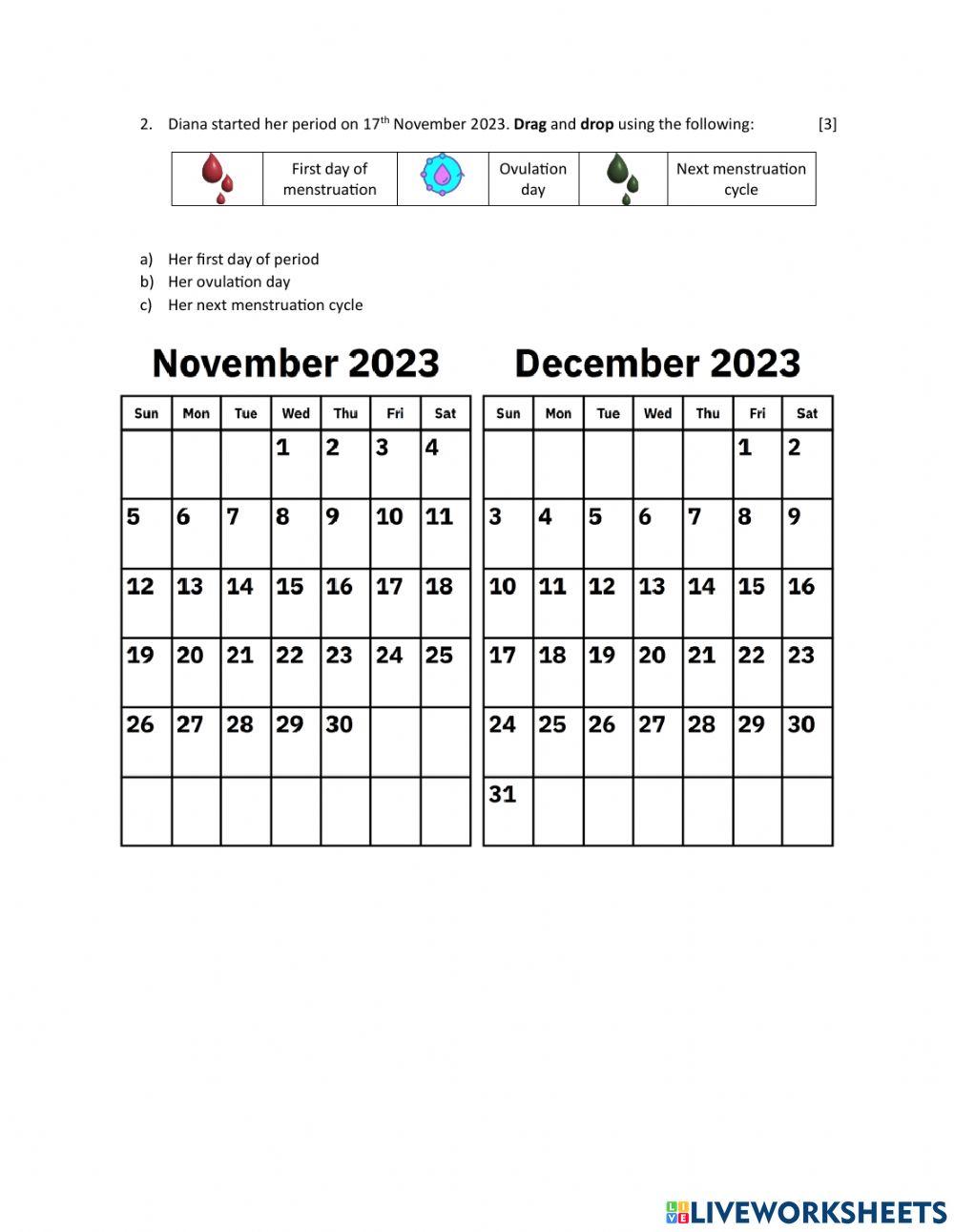 Human reproductive system