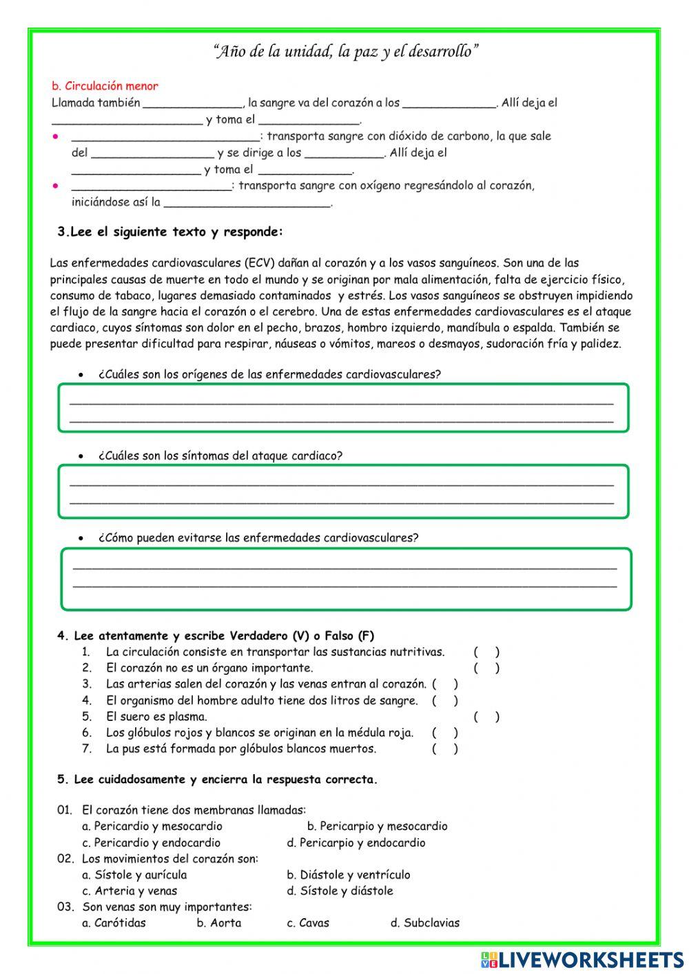 Sistema circulatorio