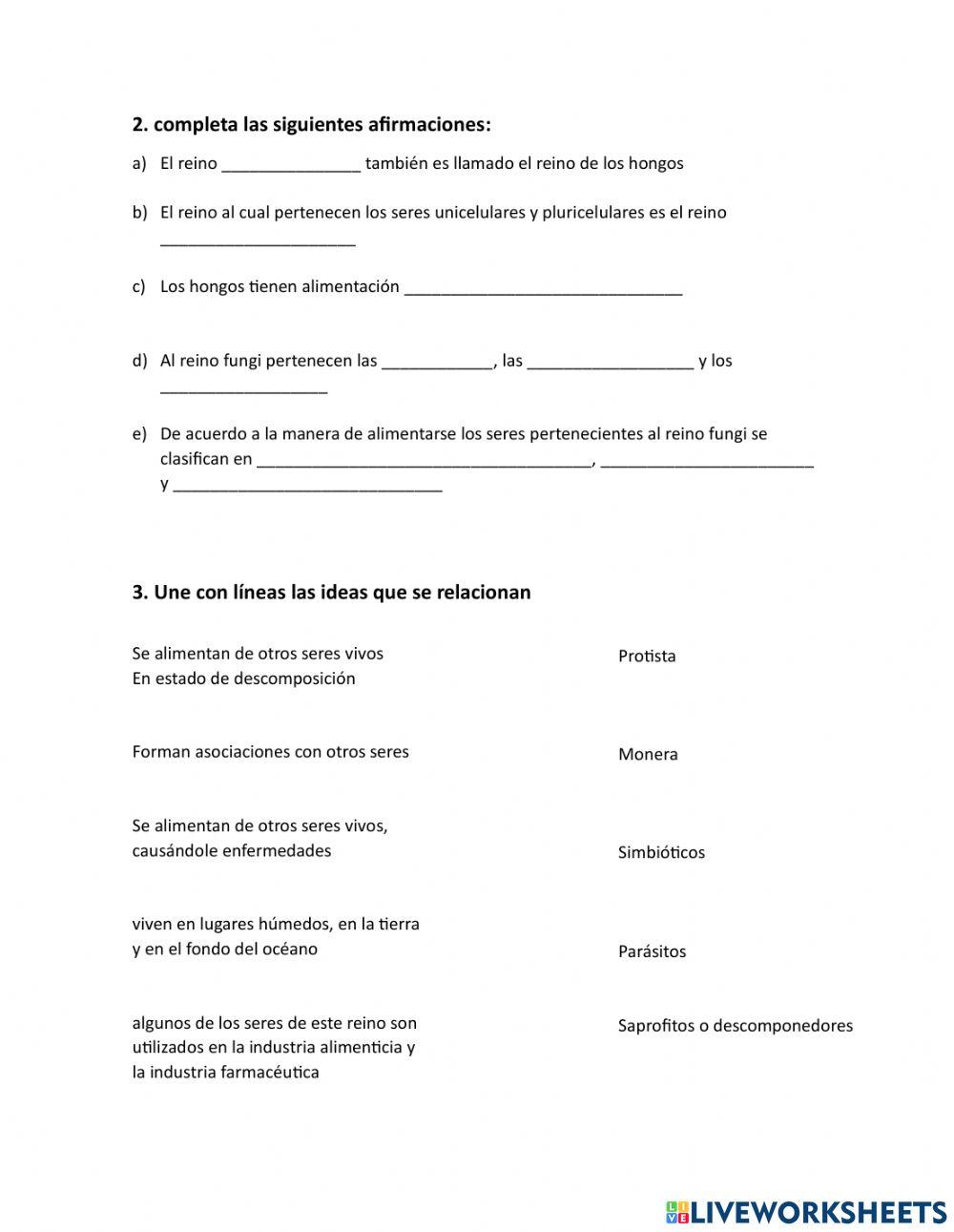 Actividad reino fungi, monera y protista