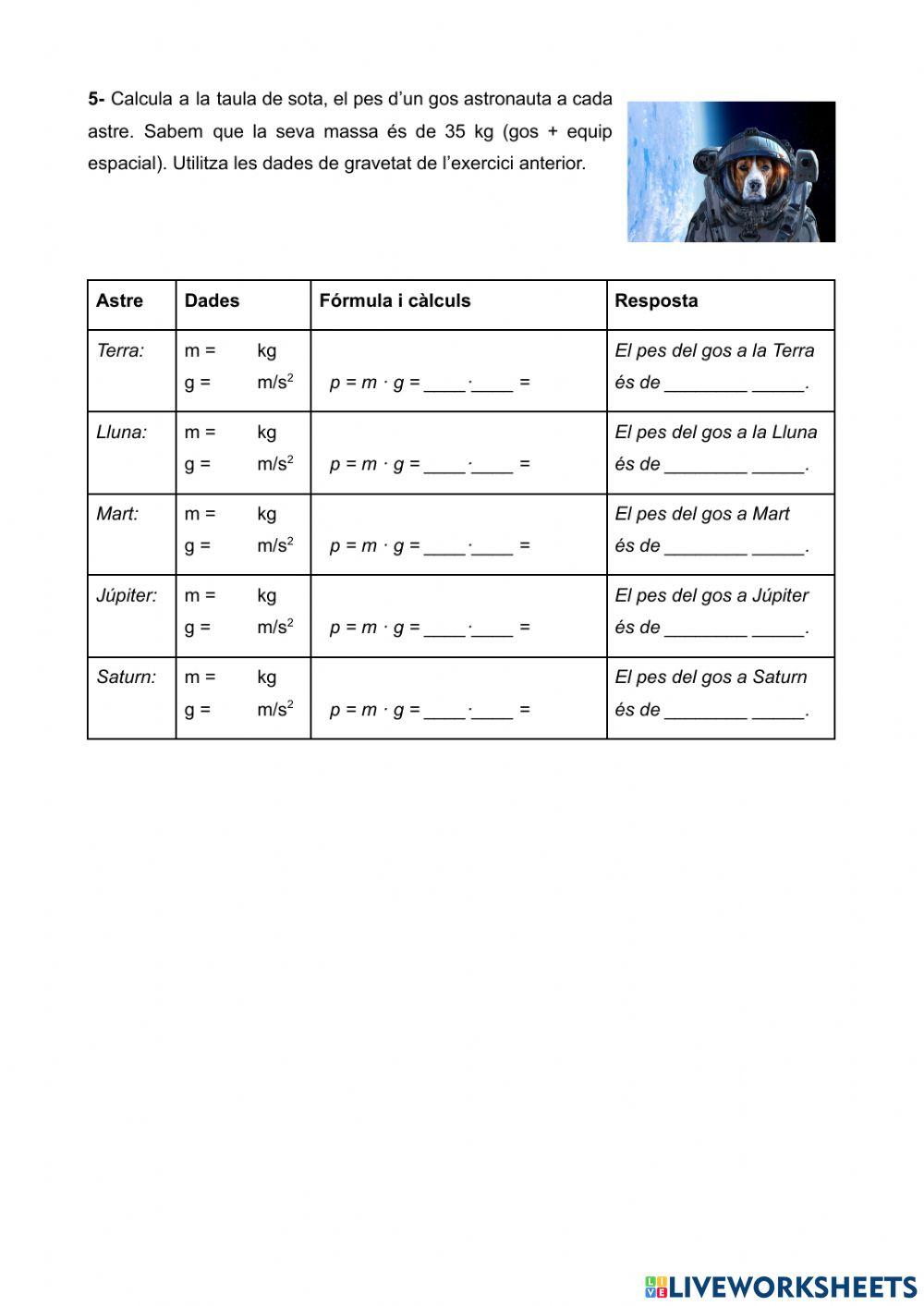 Massa pes i gravetat