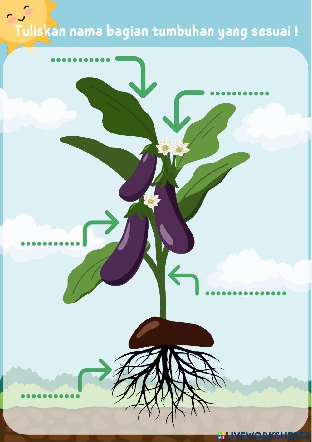 LKPD IPA Bagian-bagian Tumbuhan Tema 3 Subtema 1