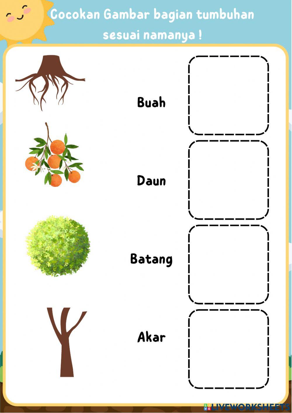 LKPD IPA Bagian-bagian Tumbuhan Tema 3 Subtema 1