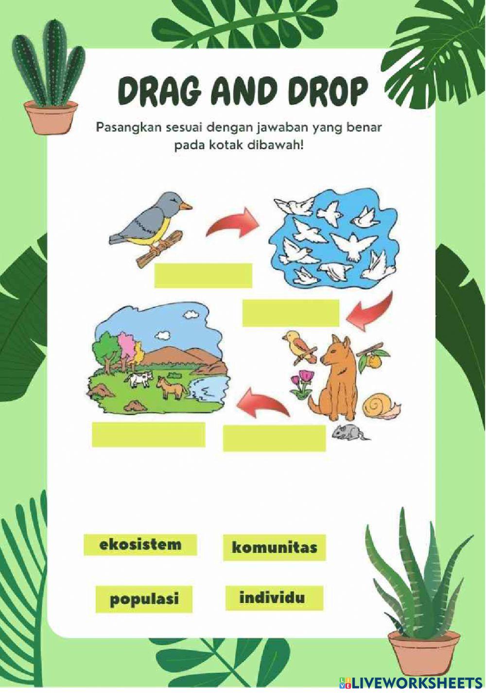 LKPD Ekosistem Kelas 5