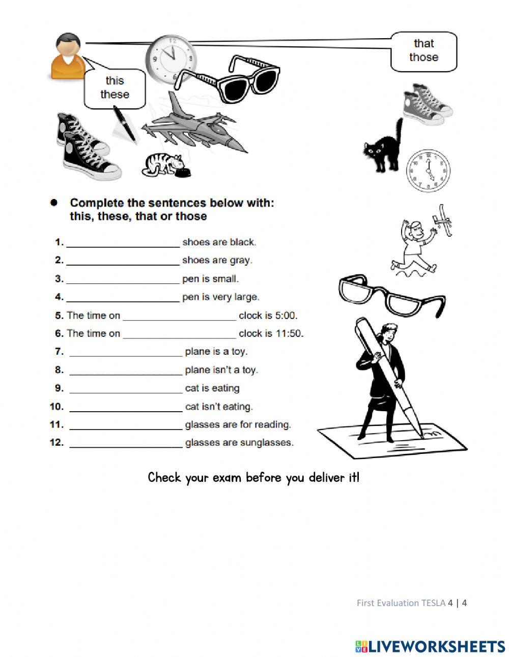 TESLA 3 First Evaluation