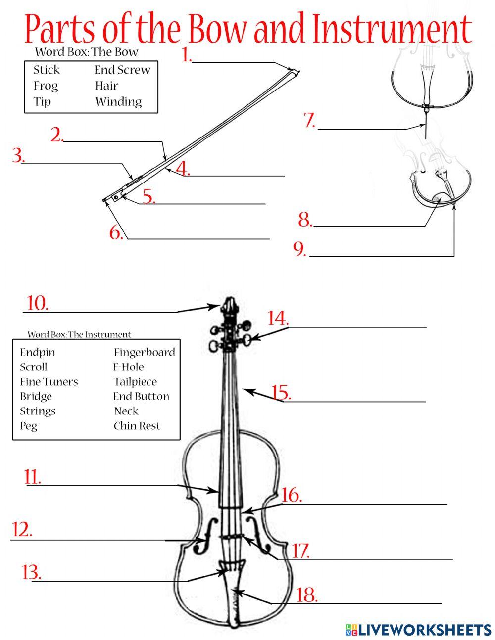 Parts of the Instrument and Bow
