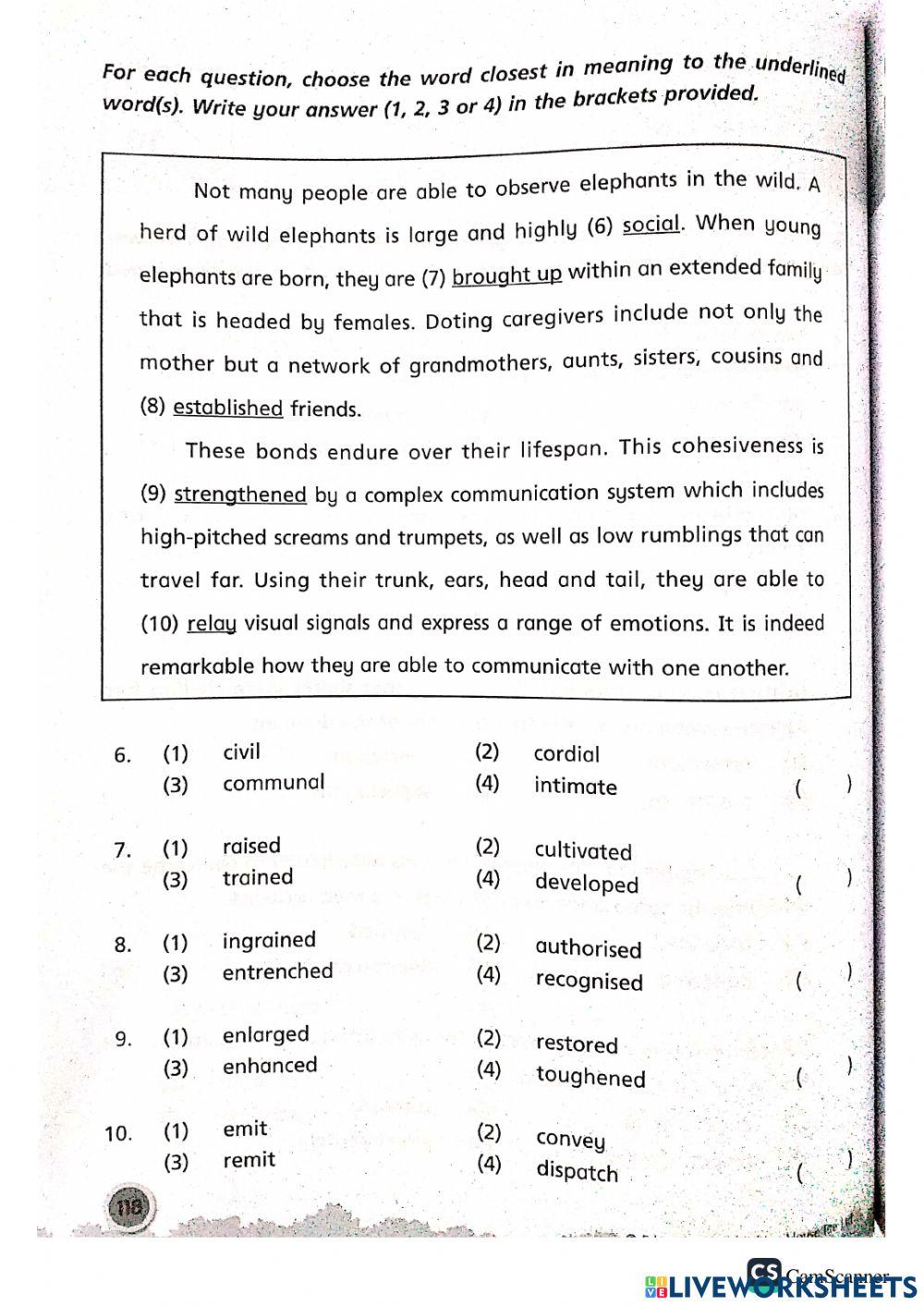 2021 Week 40 Vocab p5-6 PART 2